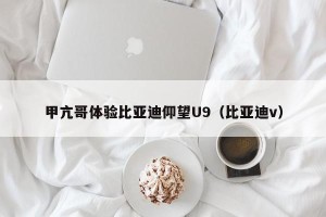 甲亢哥体验比亚迪仰望U9（比亚迪v）