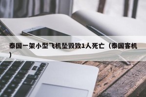泰国一架小型飞机坠毁致1人死亡（泰国客机）