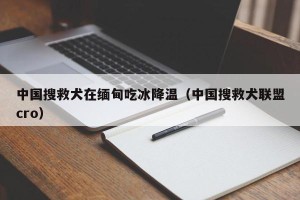 中国搜救犬在缅甸吃冰降温（中国搜救犬联盟cro）