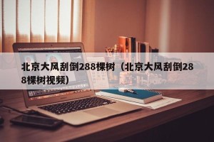 北京大风刮倒288棵树（北京大风刮倒288棵树视频）