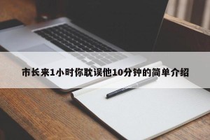 市长来1小时你耽误他10分钟的简单介绍