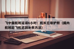 飞中国航班延误6小时：机长忘带护照（国内航班赶飞机迟到补救方法）