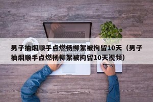 男子抽烟顺手点燃杨柳絮被拘留10天（男子抽烟顺手点燃杨柳絮被拘留10天视频）