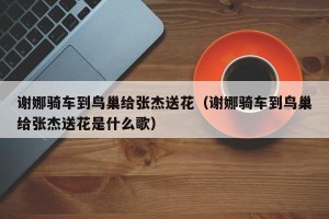 谢娜骑车到鸟巢给张杰送花（谢娜骑车到鸟巢给张杰送花是什么歌）