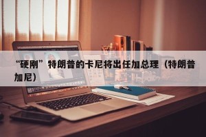 “硬刚”特朗普的卡尼将出任加总理（特朗普 加尼）