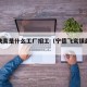 宁德飞鸾是什么工厂招工（宁德飞鸾镇最新新闻）