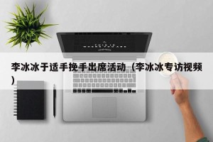 李冰冰于适手挽手出席活动（李冰冰专访视频）